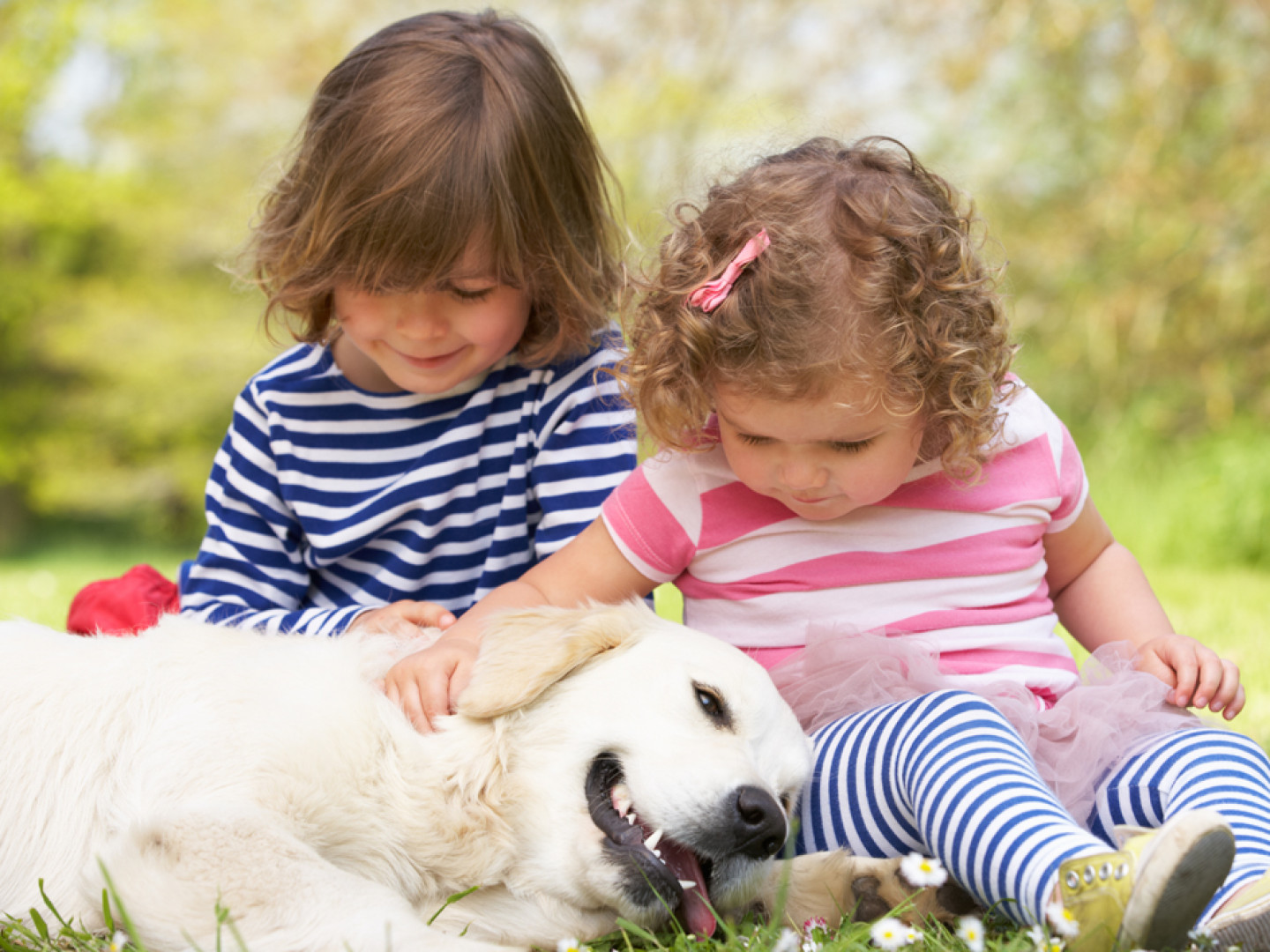 two-children-petting-family